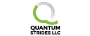 web-size_quantum-strides-100px